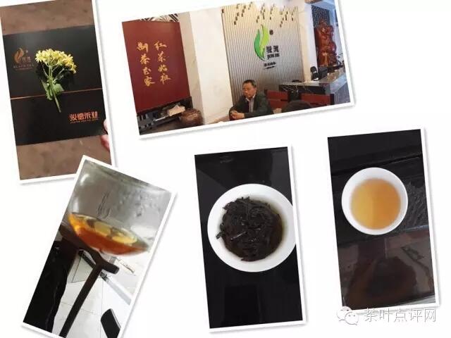 寻茶|红茶发源地之桐木