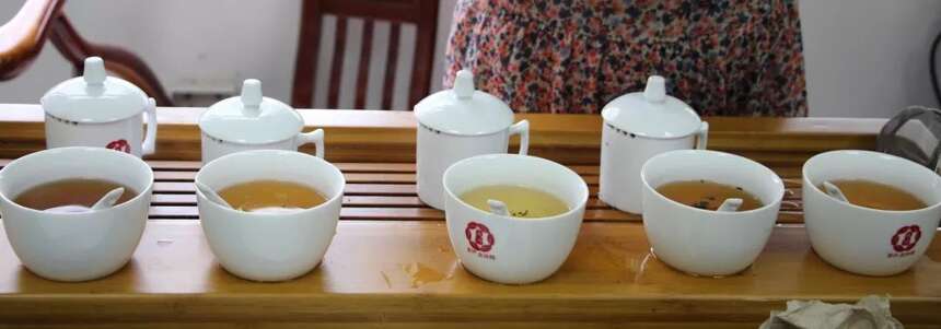 老白茶审评丨该如何辨别老白茶？又该如何保存？