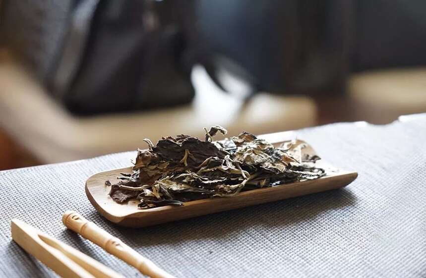 “最原味”的云南茶——大叶种白茶 为何让人爱不释手？