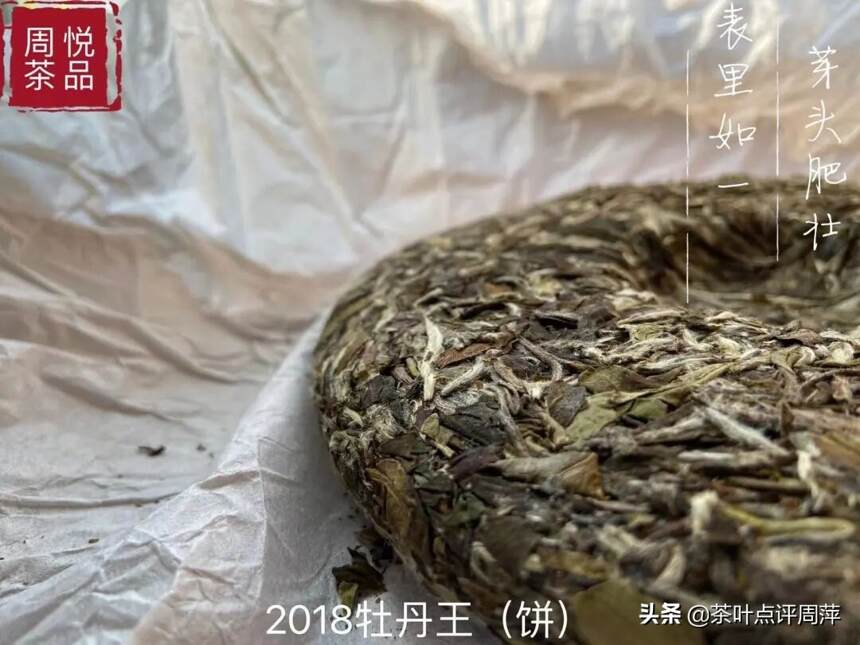 2018牡丹王：似谦谦君子，温润如玉