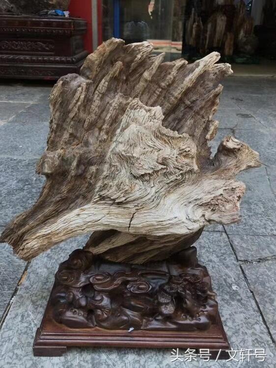 硅化木奇石艺术
