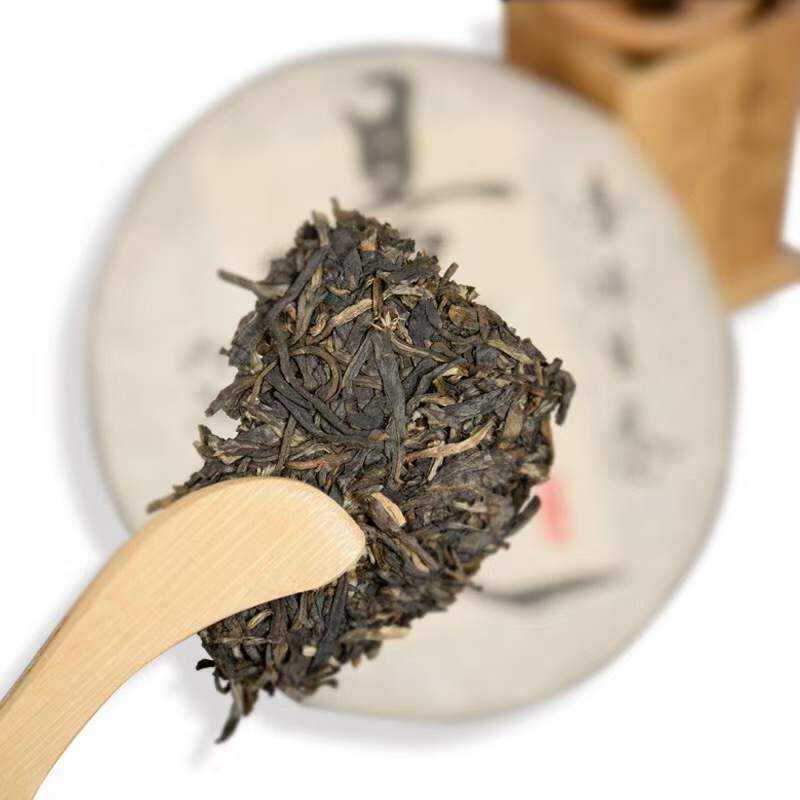 景迈普洱生茶丨壶中有日月 茶里有乾坤