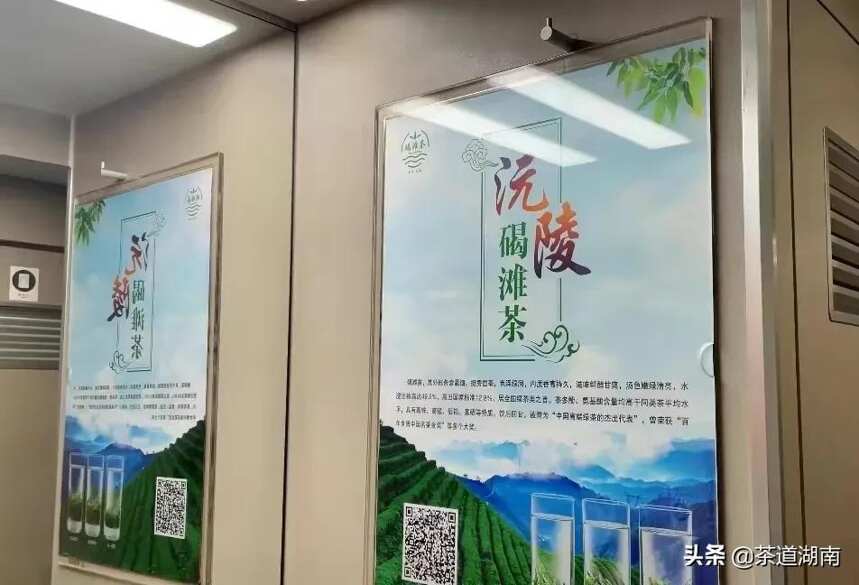 沅陵茶酒“搭乘”中国高铁，再现“怀化速度”