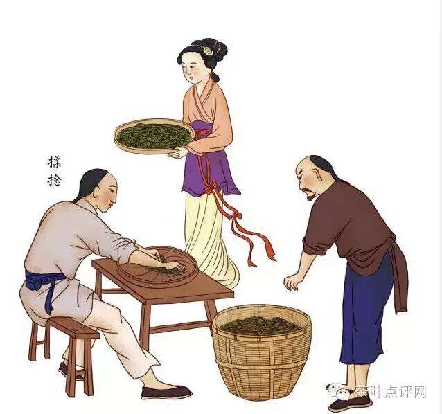 茶理王|红茶初制工艺对品质的影响