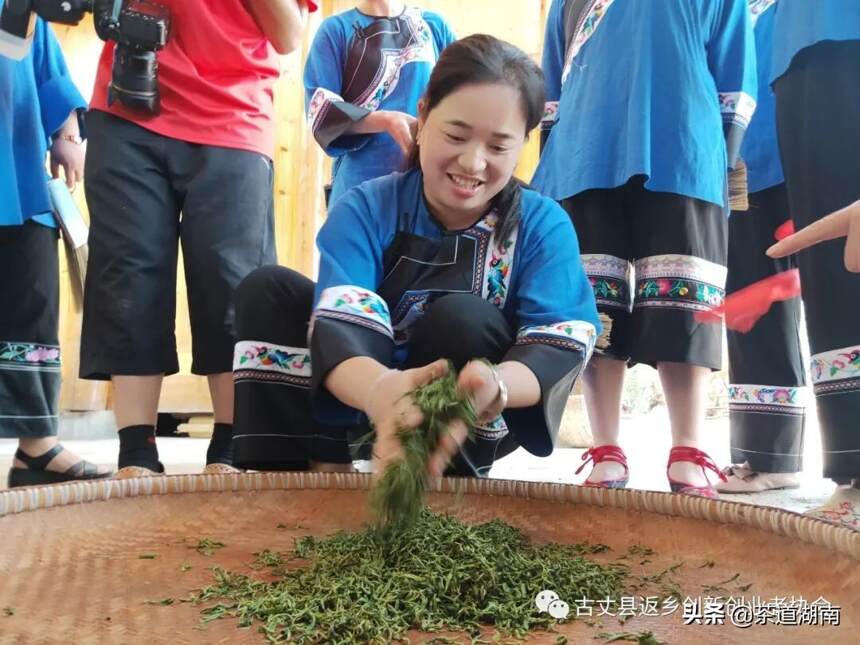 老茶王传统仪式收徒——茶乡古丈非遗传承助力乡村文化振兴