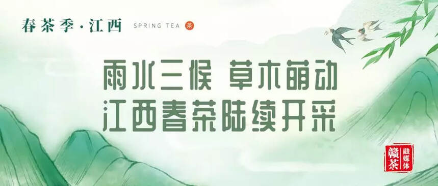 春茶季 | 雨水三候 草木萌动 江西春茶陆续开采