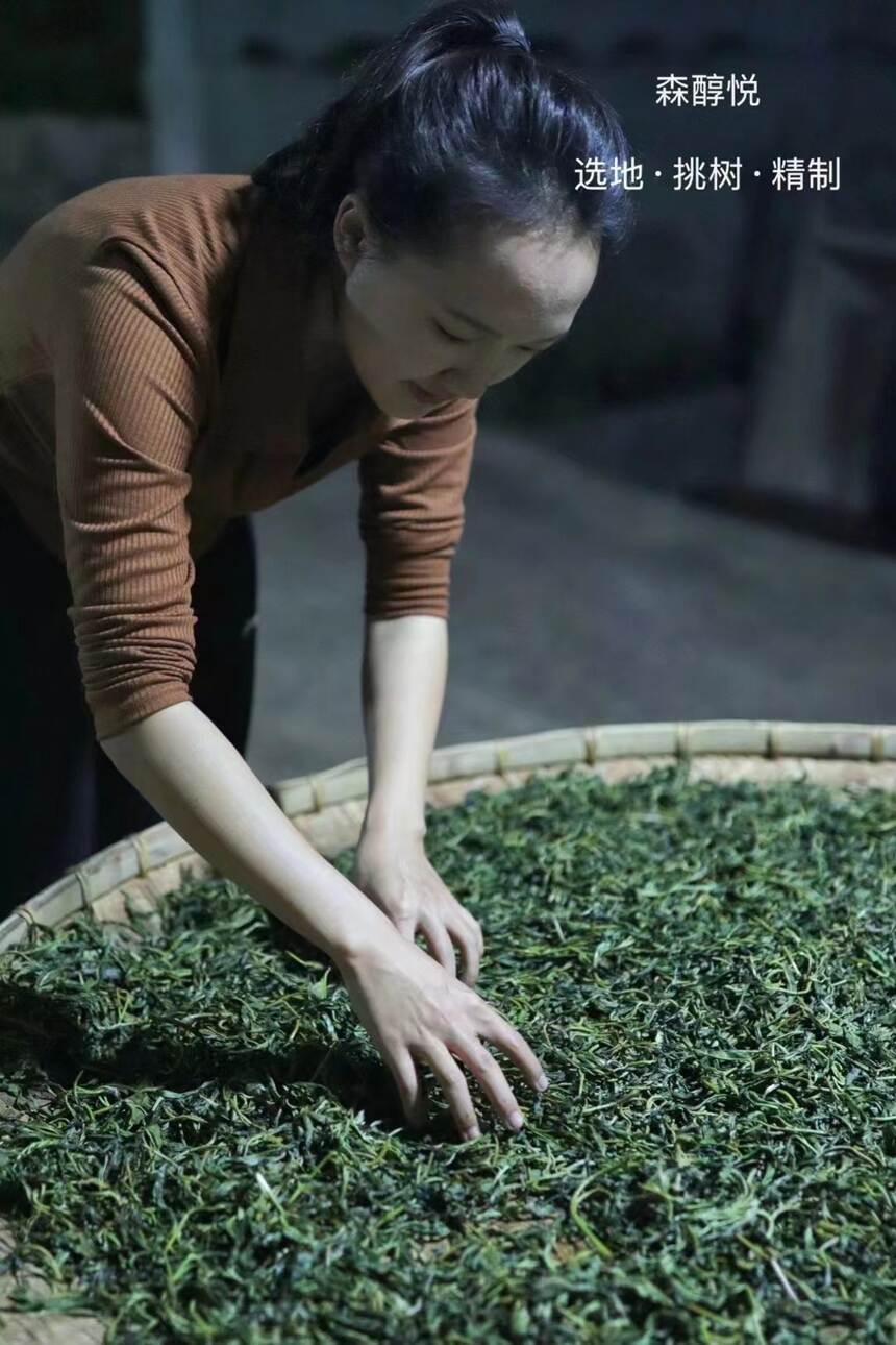 普洱茶“制前发酵”工艺都有哪些？
