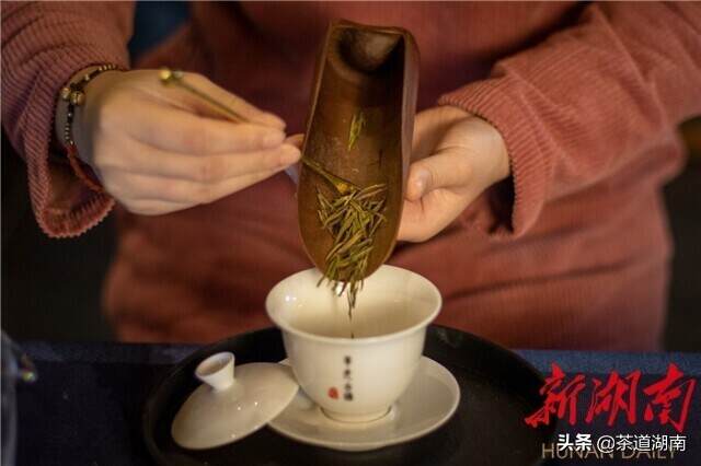 泸溪县举办茶文化品牌创建培训