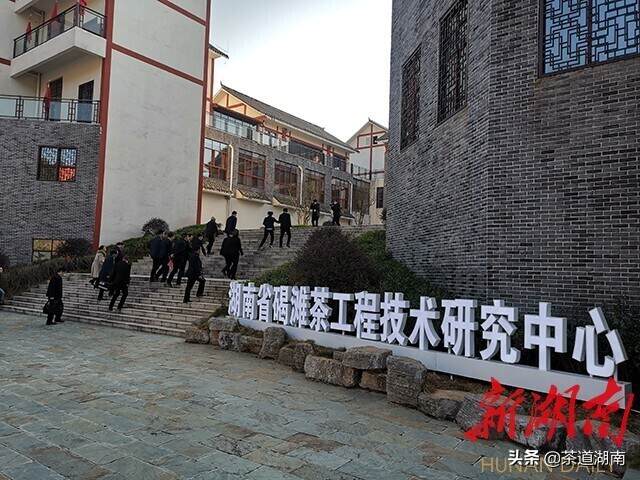 科技兴茶∣湖南省碣滩茶工程技术研究中心在沅陵挂牌