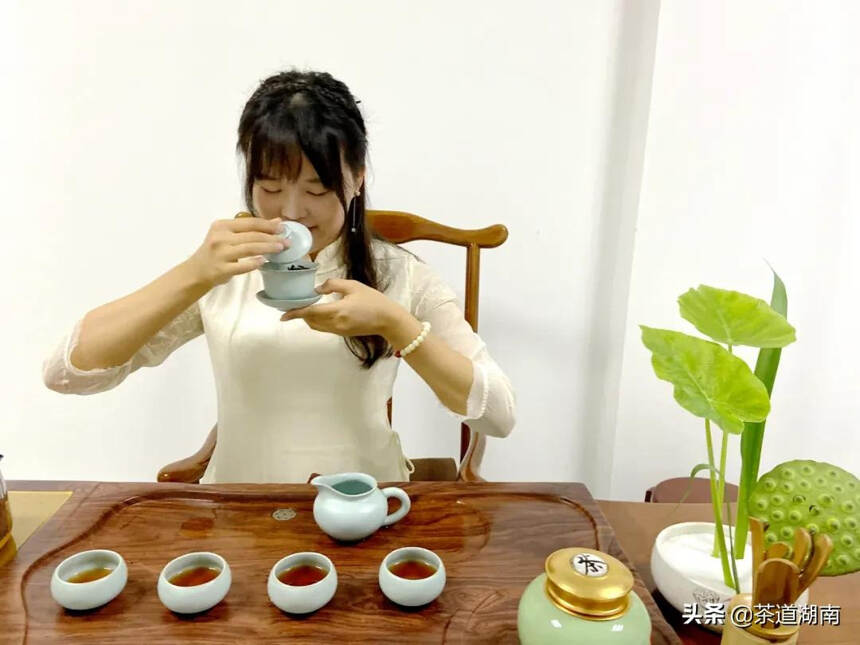 茶人访谈 | 焦海珍：因为热爱茶文化，所以选择大湘西