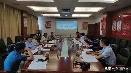 “湖南红茶”品牌建设专家座谈会在长沙召开