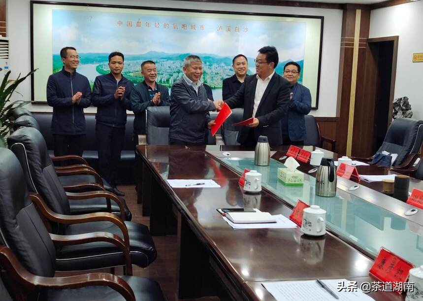 湖南省茶叶研究所与泸溪县茶产业发展座谈会举行