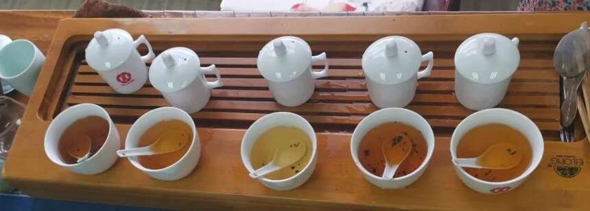 老白茶审评丨该如何辨别老白茶？又该如何保存？