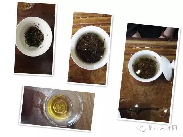 寻茶|红茶发源地之桐木