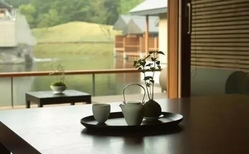 茶修|如何插花，才能让茶席更雅致？