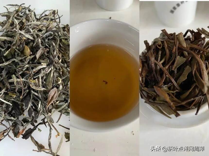 茶评：工艺好的白茶才适合存储