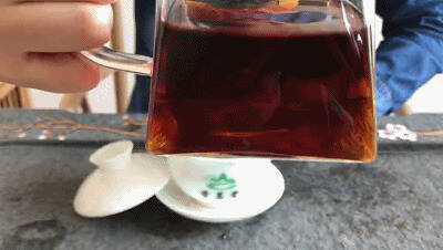 干货分享  |  普洱熟茶的冲泡方法