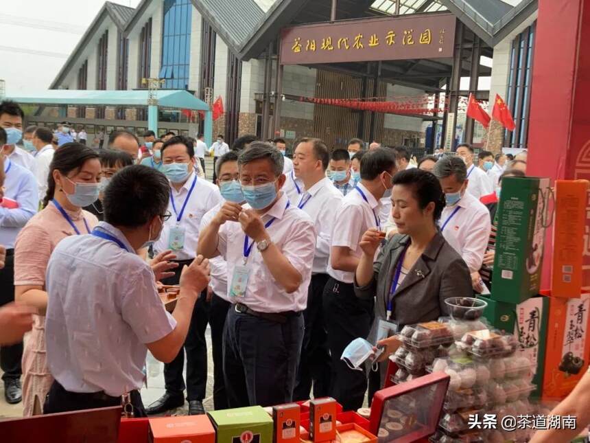 冠隆誉轻压茯茶“乡约”2022年益阳市春季乡村文化旅游节