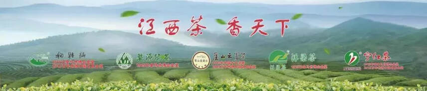 茶和世界 共享发展 | 杭州茶博会上的“江西声音”