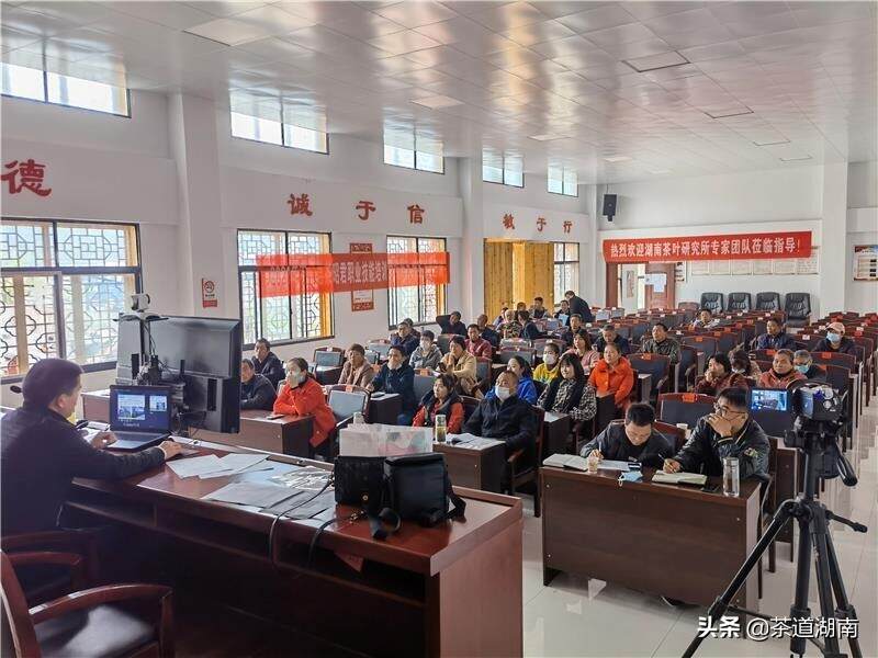 石门县第三期乡村振兴、茶产业提升培训班举行