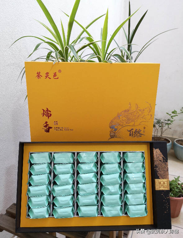 武夷岩茶茶品新星——瑞香