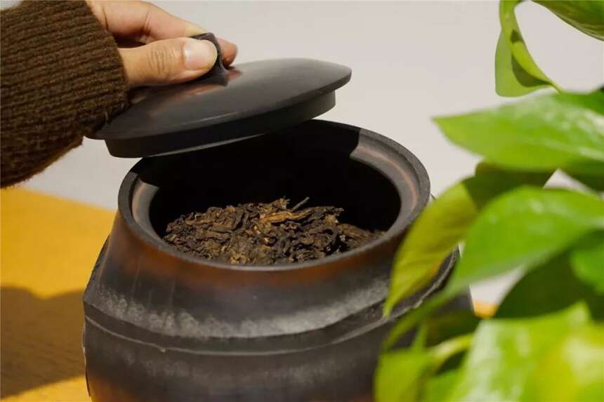 以润茶识 | 什么样的普洱茶才具备“越陈越香”的升值潜力？