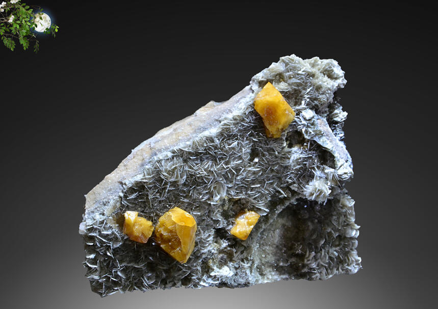 矿物晶体收藏鉴赏第二十八期