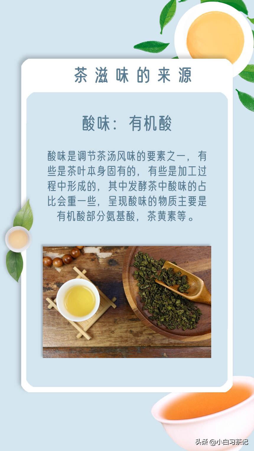 茶叶为什么会苦涩，一组图带你了解茶汤滋味的来源