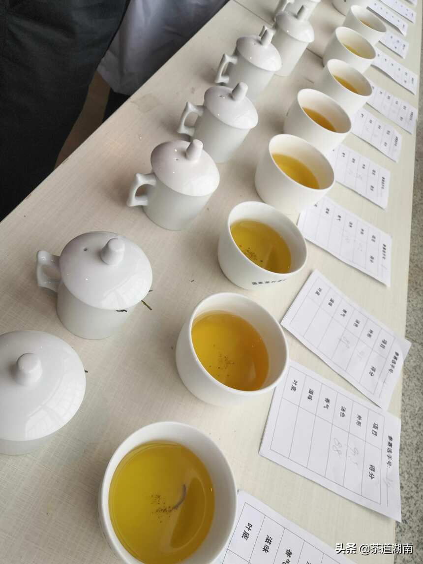 隆回县首届“邵阳红”手工制茶和茶艺技能大赛举行