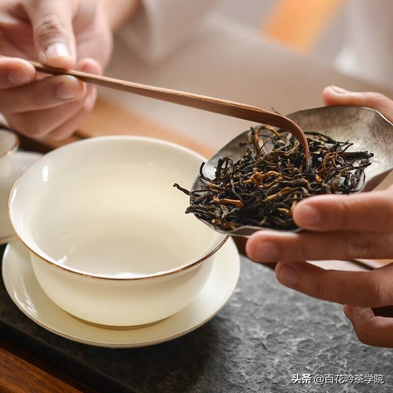 春茶季，怎样辨别新茶和老茶？
