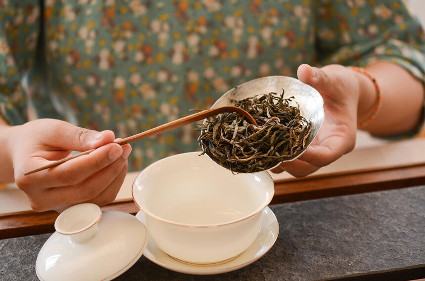 干货丨普洱古树茶树龄越大就一定越好喝吗？