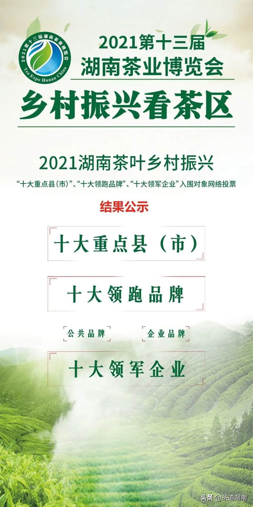 2021湖南茶叶乡村振兴“三十”网络投票结果公示
