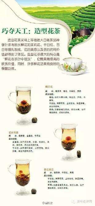 茶修|八张图教你关于中国茶的冷知识！