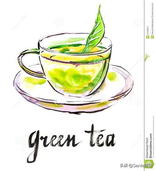 评茶篇————21，六大茶类 之 绿茶篇