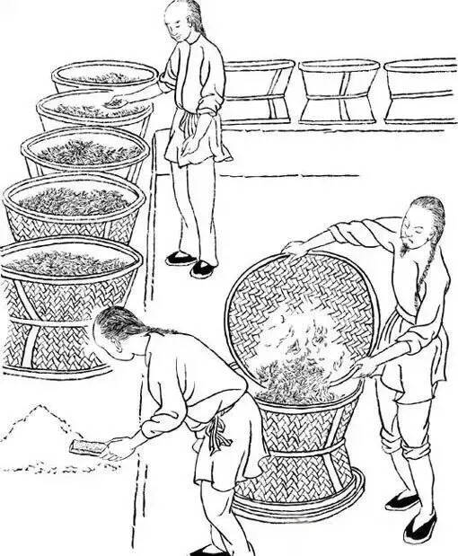 武夷岩茶在制作工艺上是如何分类的