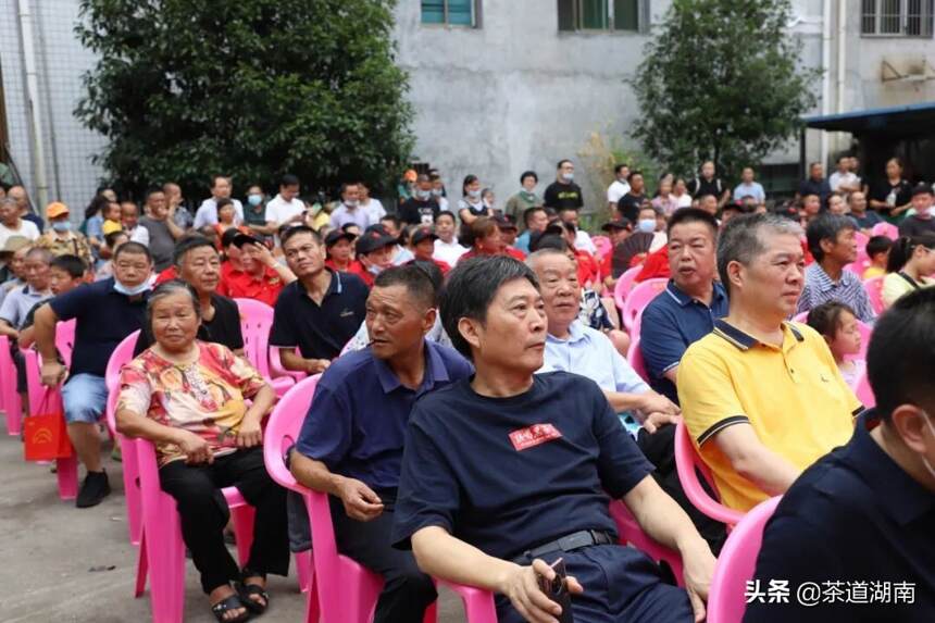 安化县马路茶厂年产5万担绿茶生产线投产暨建厂50周年庆典举行