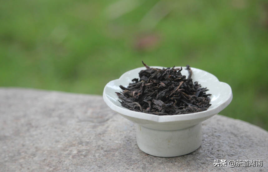 单株、古树、假茶……竟是乾隆朝茶文化关键词