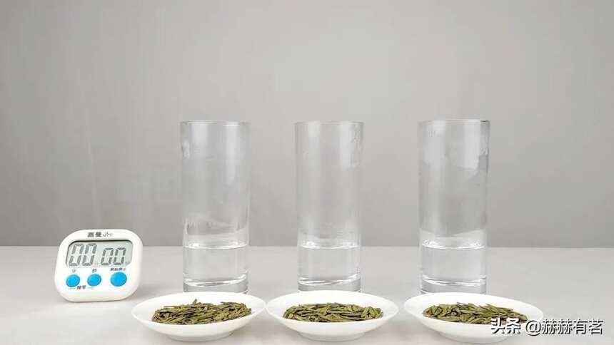 不同树种“龙井茶”风味对比，外形扁平就一定是龙井茶吗？