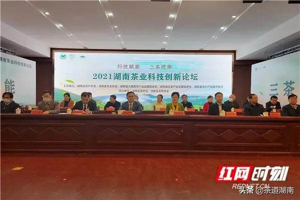 湖南茶业科技创新论坛在沅陵举行
