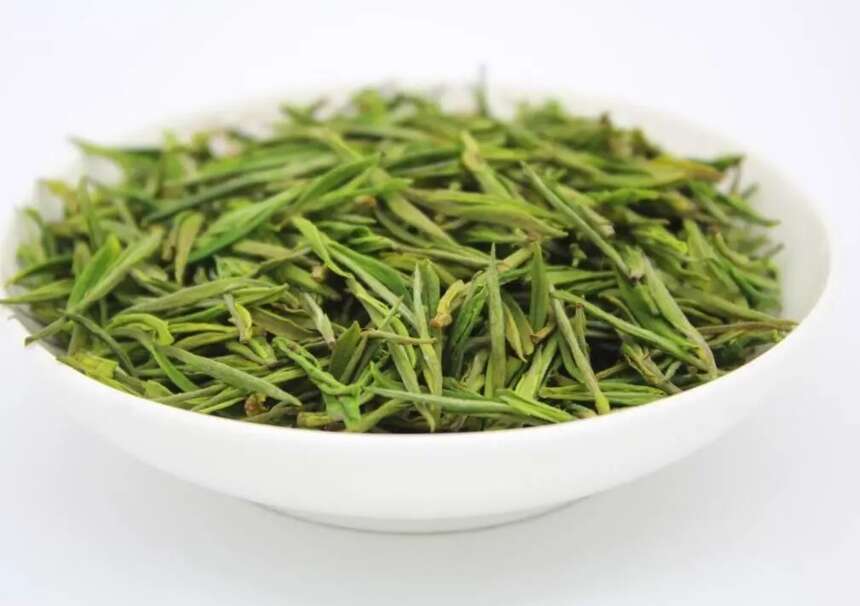 绿茶 | 安吉白茶为何叫“白茶”它的名字背后究竟隐藏了什么？