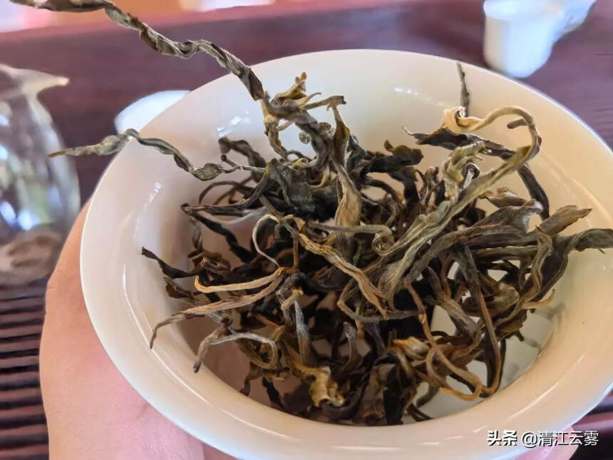 古老的茶山：六大茶山之一：植物王国——西双版纳，倚邦