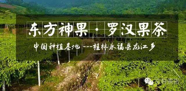中国最大的罗汉果种植基地广西桂林市永福县龙江乡