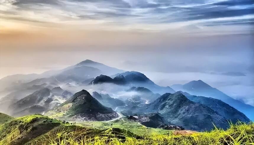 青茶 | 广东乌龙——乌岽单丛 凤凰单丛的茶发源地中心