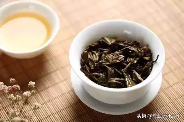 世界茶叶CHN标准制式的几大茶类有效冲泡频次和优先出汤