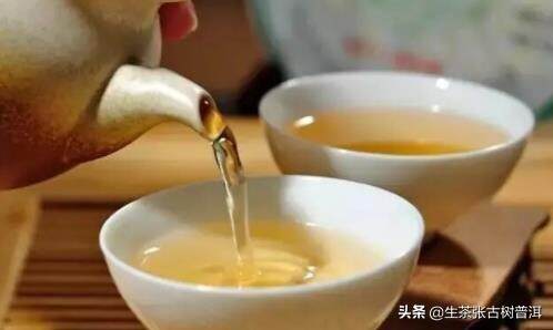 普洱茶中的“马蹄脚”您了解多少？马蹄脚茶对茶树有什么影响吗？