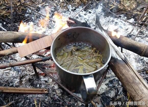 仁易说茶：普洱茶与哈尼族的饮茶习俗