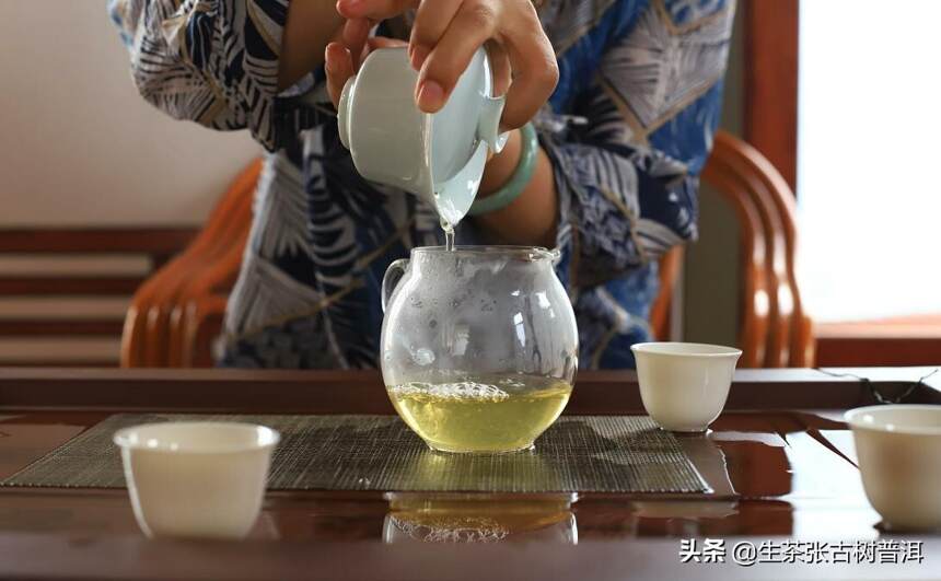 勐海苦，临沧涩，易武柔，同是普洱茶，为何相差这么大？