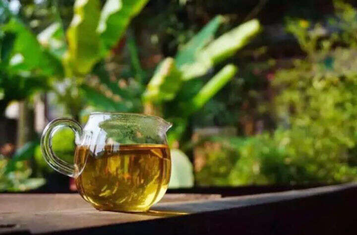 思茅茶区江城普洱茶有什么特点，跟易武茶有哪些相同和不同点