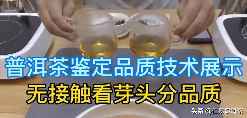 为何年轻人要饮“陆羽标准”的茶？您所不知道的终结疫情的秘密