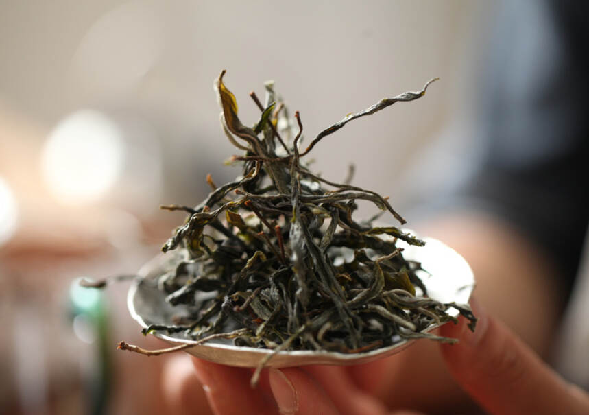 临沧勐库东西半山的茶区别是什么？处在西半山的磨烈茶口感如何